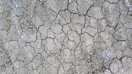grey crack of dried soil background texture