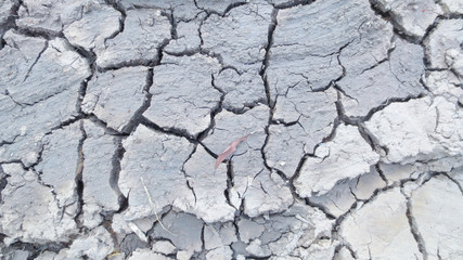 grey crack of dried soil background texture