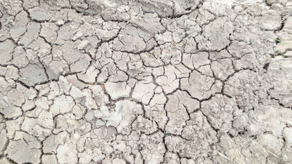 grey crack of dried soil background texture