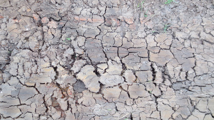 grey crack of dried soil background texture