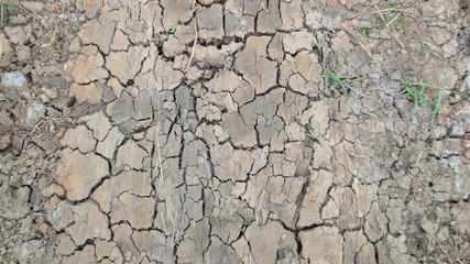 grey crack of dried soil background texture
