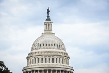 Obraz premium Capitol Building in Washington DC
