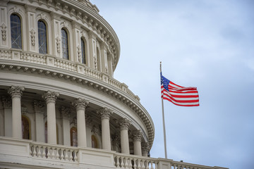 Capitol Building in Washington DC