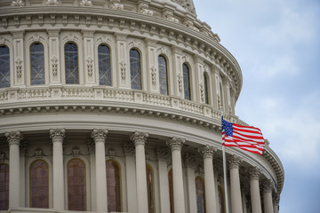 Capitol Building in Washington DC