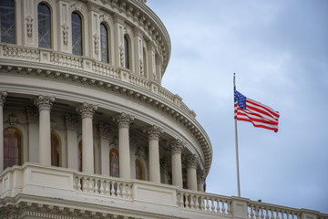 Capitol Building in Washington DC