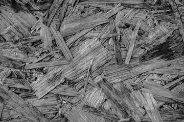 black and white wood plank texture background