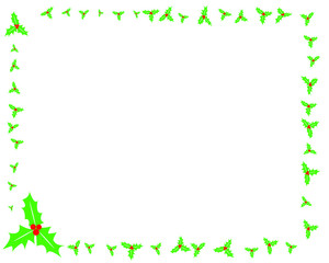 Holly border