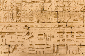 Fototapeta na wymiar The temple in Karnak