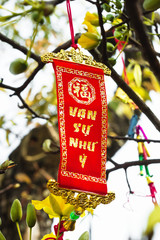 Vietnamese and Chinese New Year decoration on a background of yellow flowers. The inscription is...