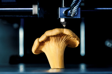 Pfifferling in einem 3D Drucker, Konzepte wie Lösung der Lebensmittelknappheit, Hungersnot und...