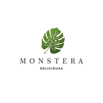 monstera deliciosa deliciousa leaf logo vector icon illustration