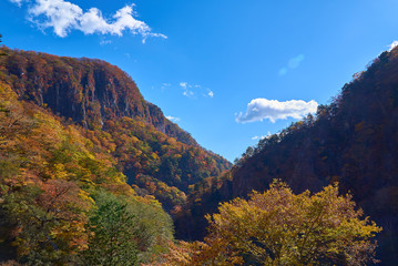 Obraz premium 日光いろは坂03