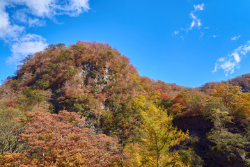 Fototapeta premium 日光いろは坂02