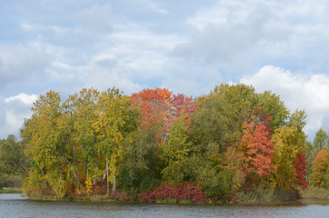 Obraz premium Autumn landscape in the Park.