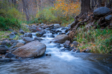 stream in the forest