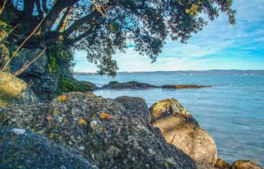 Bolsena lake