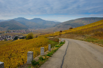 Blick vom Aussichtspunkt Sigolsheim auf das bunte Elsass im Spätherbst