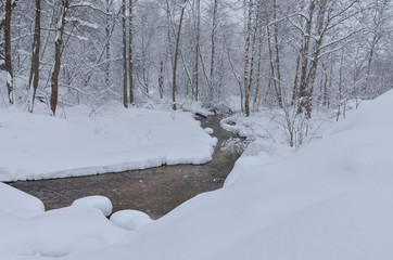 snow covered banks of small river in winter forest  Moscow region, Russia