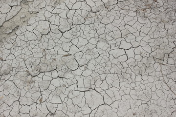 The rain does not come.That's why the river in germany wants dry up in 2018.Water is the basis of all life and nature without rain.