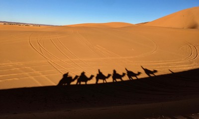 The shadows of the caravan on the hot sand of the sahara desert