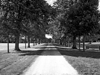 Allée du chateau