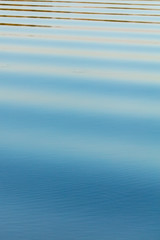 The surface of the water in the pond at sunset as a background