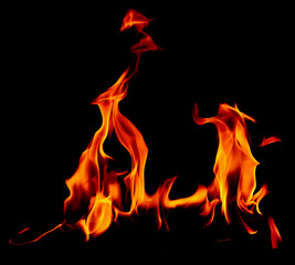 Flame of fire on a black background