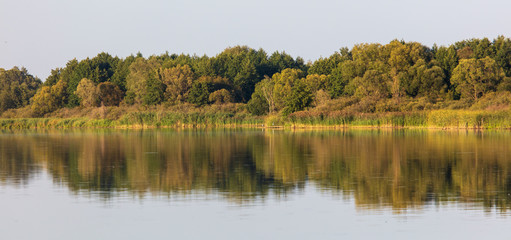 Trees with reflection on the water as a background