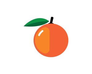 Orange logo design. Vector illustration