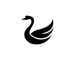 Swan logo Template vector illustration design