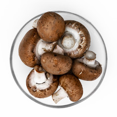 Champignons in einer Glasschale