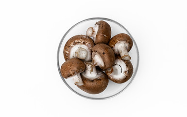 Champignons in einer Glasschale