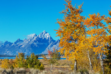 Autumn in Grand Teton