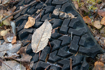 Tire left in frosty autumn forest