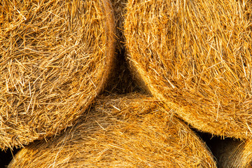 Background close up to natural bale of hay
