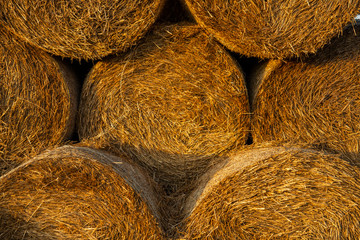 Background natural bale of hay