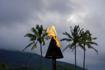 Blazing flame in Maui - Hawaii