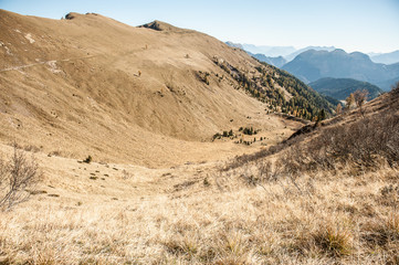 dolomiti friulane