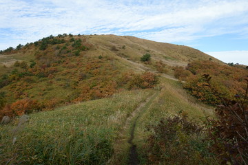 日本の秋の紅葉