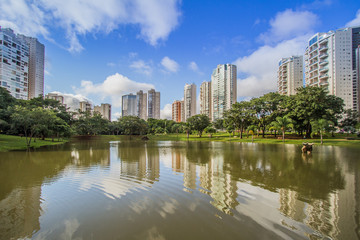 Fototapeta na wymiar Os parques da Cidade de Goiânia-Goiás-Brazil são lindos e são usados pela população para lazer e turismo.