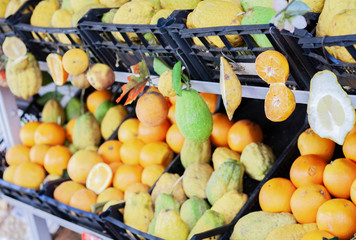 Citrus in the fruit market of Catania, Sicily, Italy