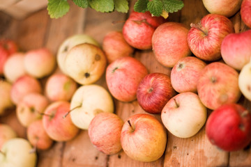 Many red apples on a wooden table