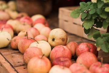 Many red apples on a wooden table