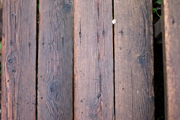 Stairs from wet wooden boards in garden