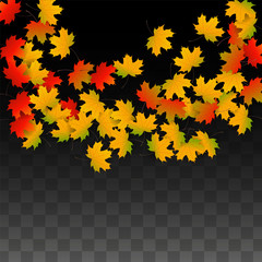 September Vector Background with Golden Falling Leaves. Autumn Illustration with Maple Red, Orange, Yellow Foliage. Isolated Leaf on Transparent Background. Bright Swirl. Suitable for Posters.