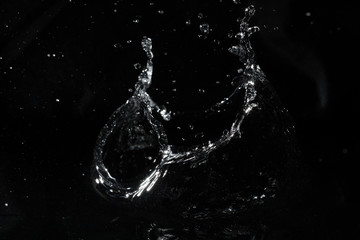 water splash black background backdrop fresh