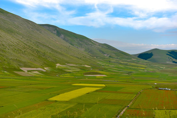 Castelluccio la fioritura