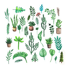 Hand painted watercolor set of graphic design elements. Plants and trees.