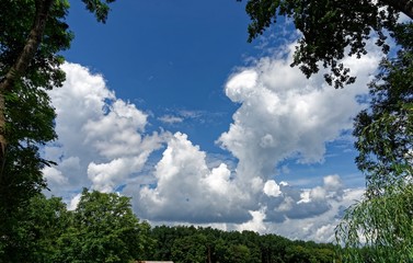 Cumulus Clouds