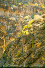 The red sheer cliffs surround Canyon Lake east of Phoenix, Arizona and a favorite water spot to boat, jet ski, hike explore the Arizona desert land with the cactus that grow near this man made lake